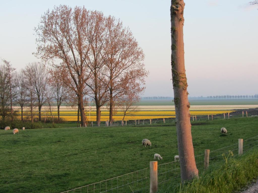 Bed En Breakfast In Het Fruit Zuidoostbeemster Екстер'єр фото